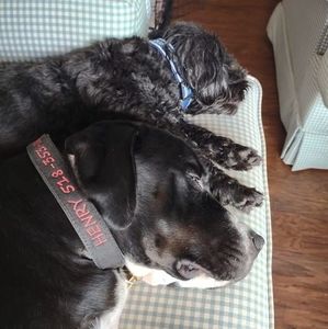 Meet your Posher, Lorrie